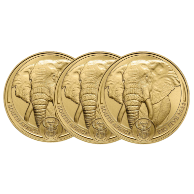 Moneda de Oro 50 Rand-Sudáfrica-1 oz.-Big Five Elephant-Varios Años